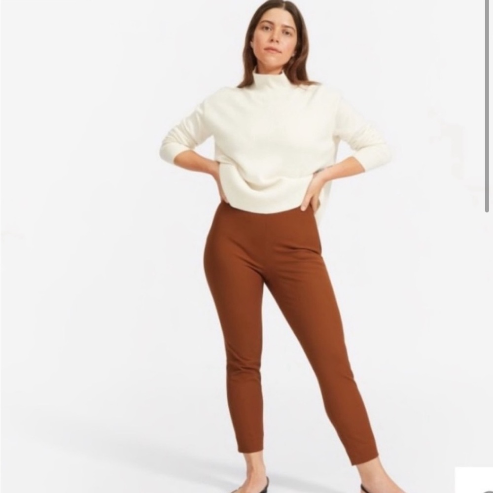everlane tobacco brown side zip work pants size 12